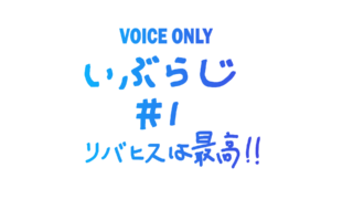 VOICE by IBU